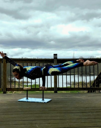 Gallery photo 7 of Aerial Artist