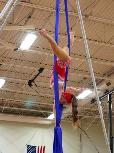 Gallery photo 4 of Aerial Artist