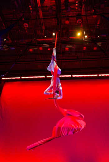 Gallery photo 2 of Aerial Artist
