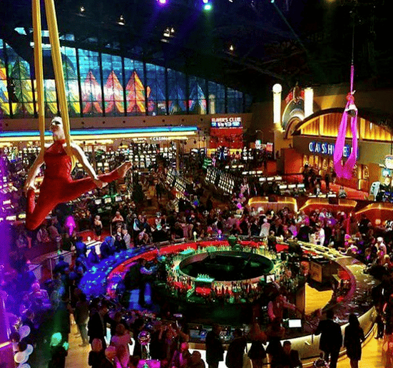 Gallery photo 5 of Aerial Arts of Rochester