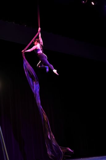 Gallery photo 5 of Aerial Ashley- Corporate Aerialist