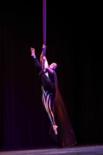 Gallery photo 7 of Aerial Ashley- Corporate Aerialist