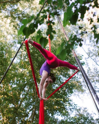 Gallery photo 8 of Aerial Ashley- Corporate Aerialist