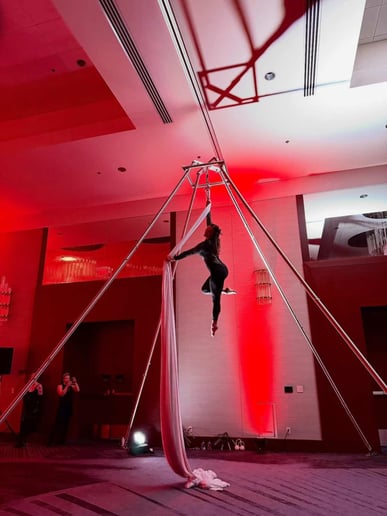 Gallery photo 1 of Aerial Ashley- Corporate Aerialist