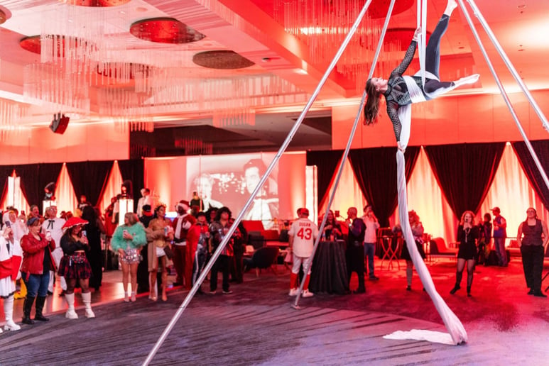 Gallery photo 3 of Aerial Ashley- Corporate Aerialist