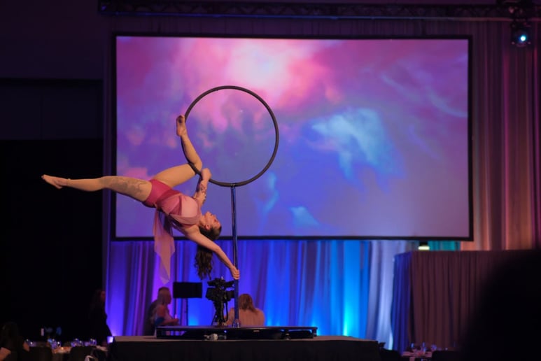 Gallery photo 2 of Aerial Ashley- Corporate Aerialist
