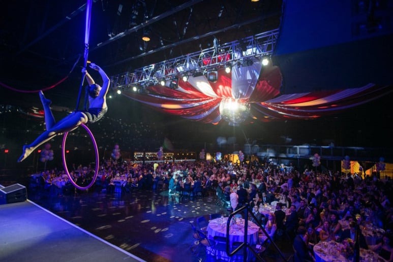 Gallery photo 3 of Aerial Audball