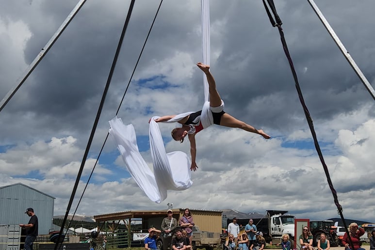 Gallery photo 9 of Aerial Aura | Trapeze, Silks, Circus