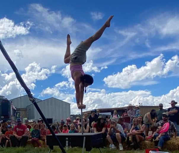Gallery photo 10 of Aerial Aura | Trapeze, Silks, Circus