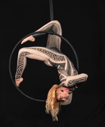 Gallery photo 6 of Aerial Bartender and Performer