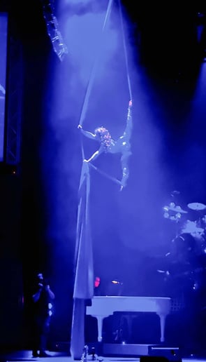 Gallery photo 2 of Aerial Brina Entertainment