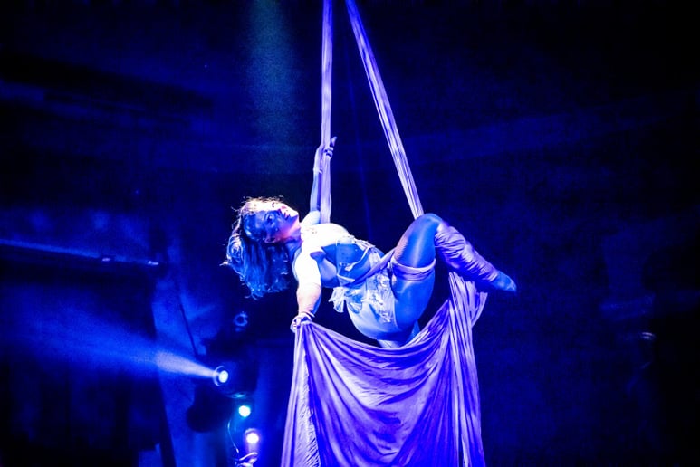 Gallery photo 2 of Sara James Aerial Burlesque