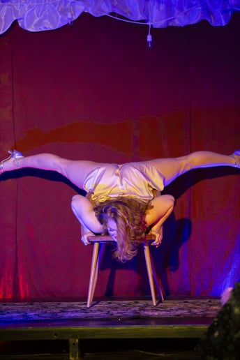 Gallery photo 7 of Sara James Aerial Burlesque