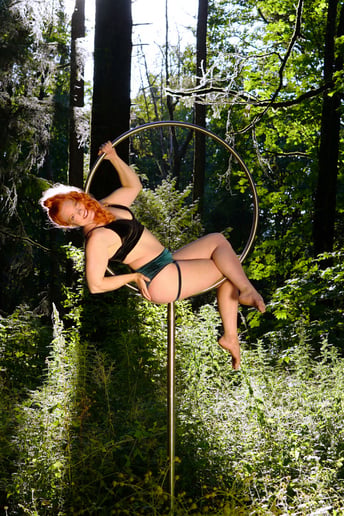 Gallery photo 9 of Sara James Aerial Burlesque