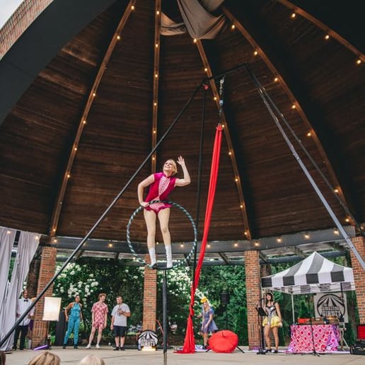 Gallery photo 1 of Mars The Aerialist