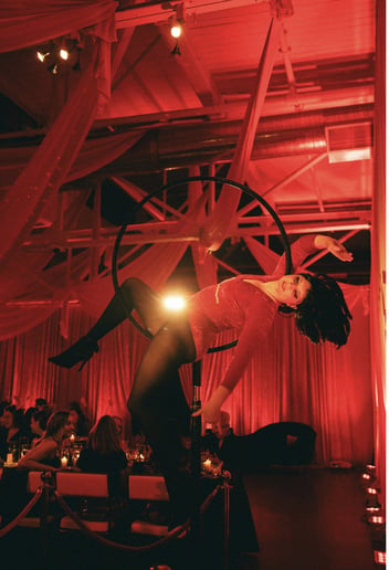 Gallery photo 6 of Mars The Aerialist