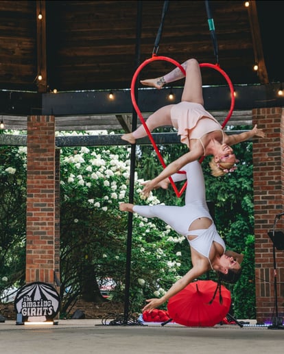 Gallery photo 8 of Mars The Aerialist