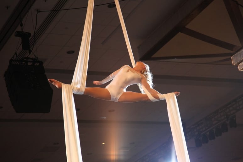 Gallery photo 1 of Aerial Cheryl Entertainment