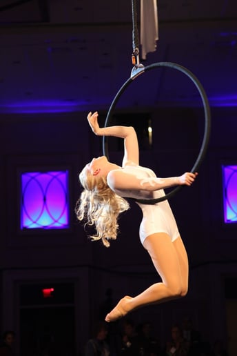 Gallery photo 2 of Aerial Cheryl Entertainment