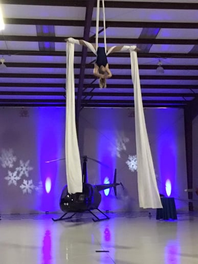 Gallery photo 3 of Aerial Cheryl Entertainment
