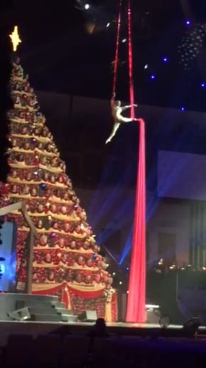 Gallery photo 5 of Aerial Cheryl Entertainment