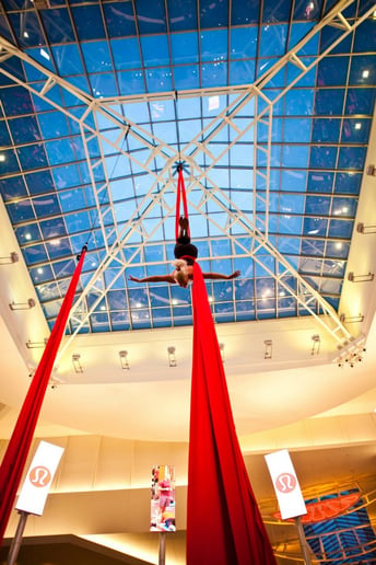 Gallery photo 7 of Aerial Cheryl Entertainment