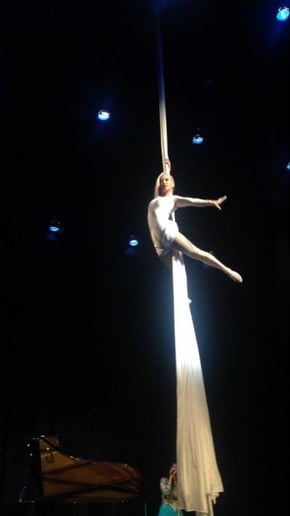 Gallery photo 8 of Aerial Cheryl Entertainment