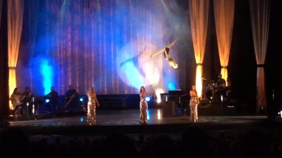 Gallery photo 9 of Aerial Cheryl Entertainment