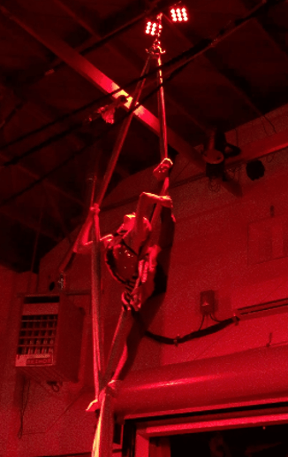 Gallery photo 2 of Aerial Esme
