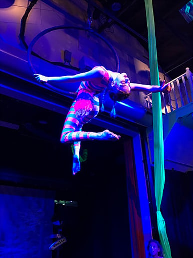 Gallery photo 5 of Aerial Esme