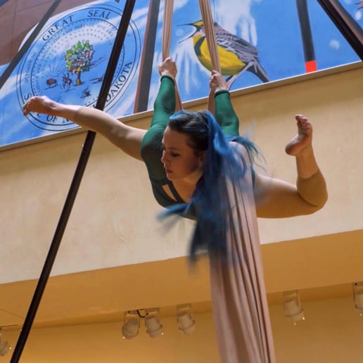 Gallery photo 1 of Aerial Dance with Emily