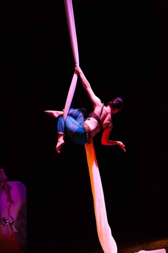 Gallery photo 2 of Aerial Dance with Emily