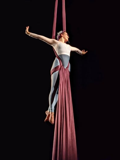 Gallery photo 8 of Aerial Dance with Emily