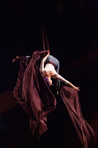Gallery photo 9 of Aerial Dance with Emily