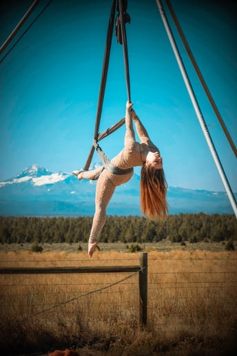 Gallery photo 2 of Aerial Dancers