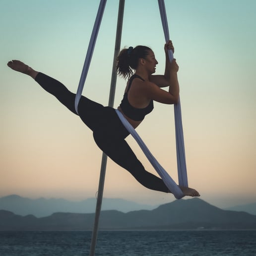 Gallery photo 5 of Aerial Dancers