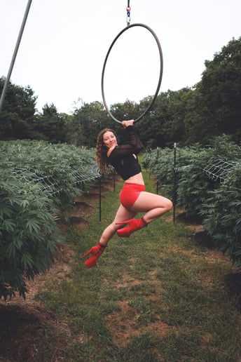 Gallery photo 7 of Aerial Dancers
