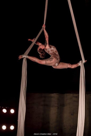 Gallery photo 4 of Aerial Elements