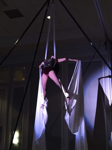 Gallery photo 5 of Aerial Elements