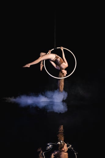 Gallery photo 9 of Aerial Em