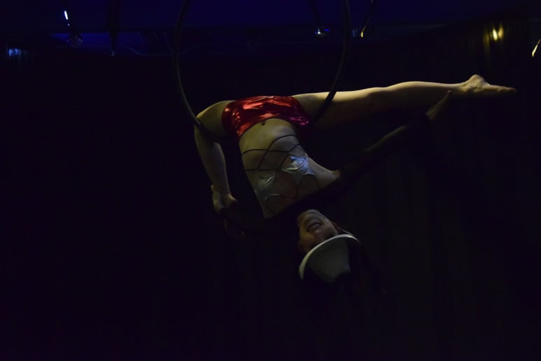 Gallery photo 8 of Aerial Em