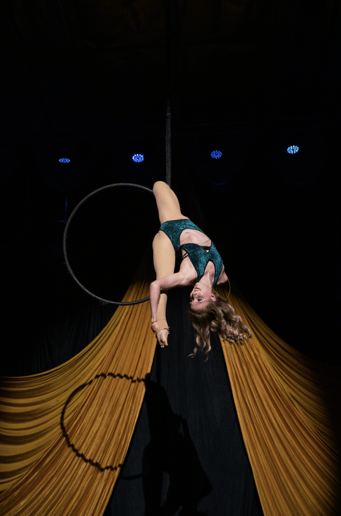 Gallery photo 6 of Aerial Em