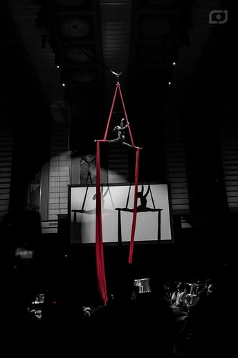 Gallery photo 2 of Aerial Entertainment!