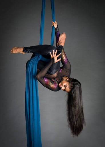 Gallery photo 3 of Aerial Entertainment!