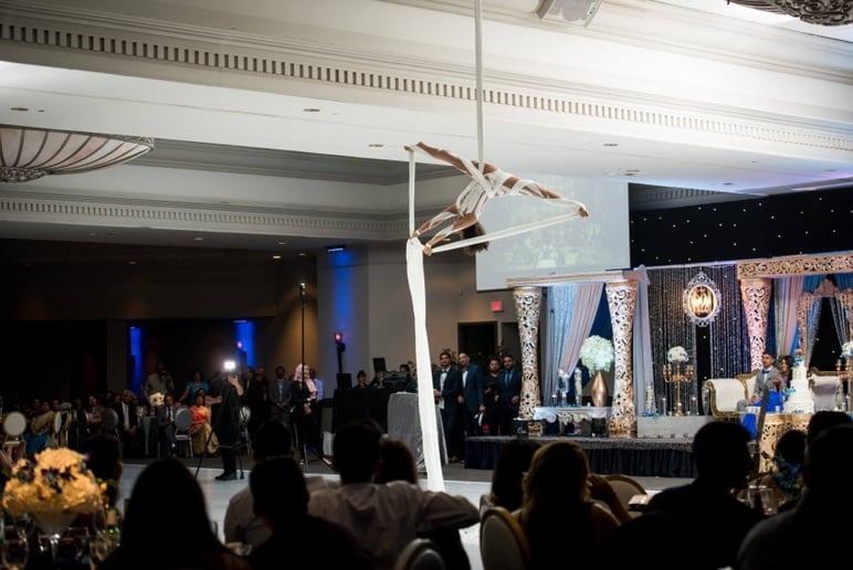 Gallery photo 4 of Aerial Entertainment!