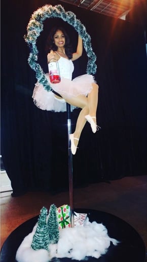 Gallery photo 5 of Aerial Entertainment!
