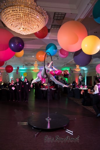 Gallery photo 6 of Aerial Entertainment!