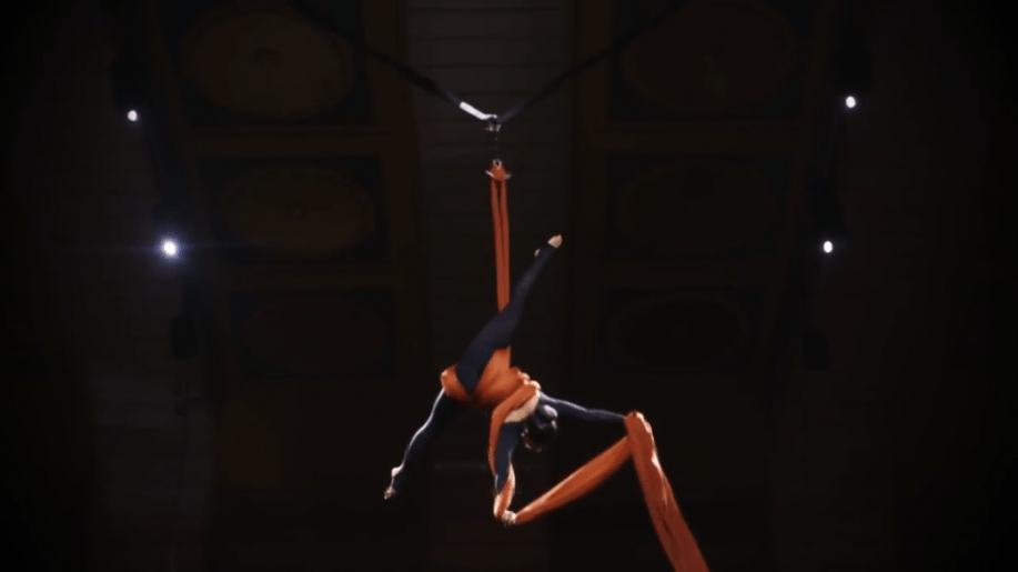 Gallery photo 7 of Aerial Entertainment!