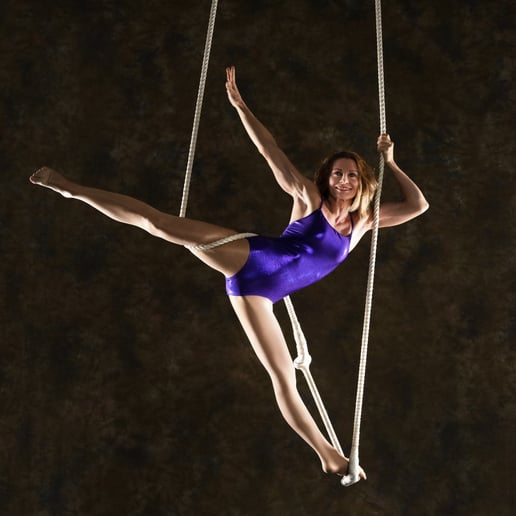 Gallery photo 6 of Aerial Escape