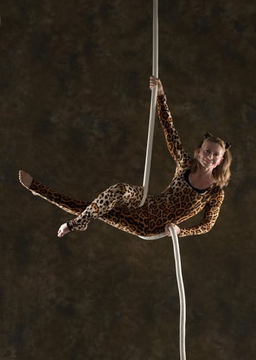 Gallery photo 9 of Aerial Escape